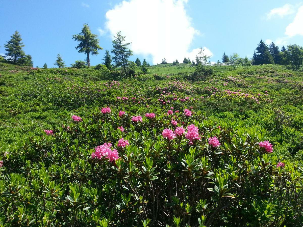 Studio Le Marquis 2 Morzine Zewnętrze zdjęcie
